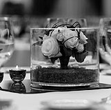 Boda